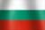 Bulgarian national flag icon