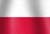 Polish national flag icon